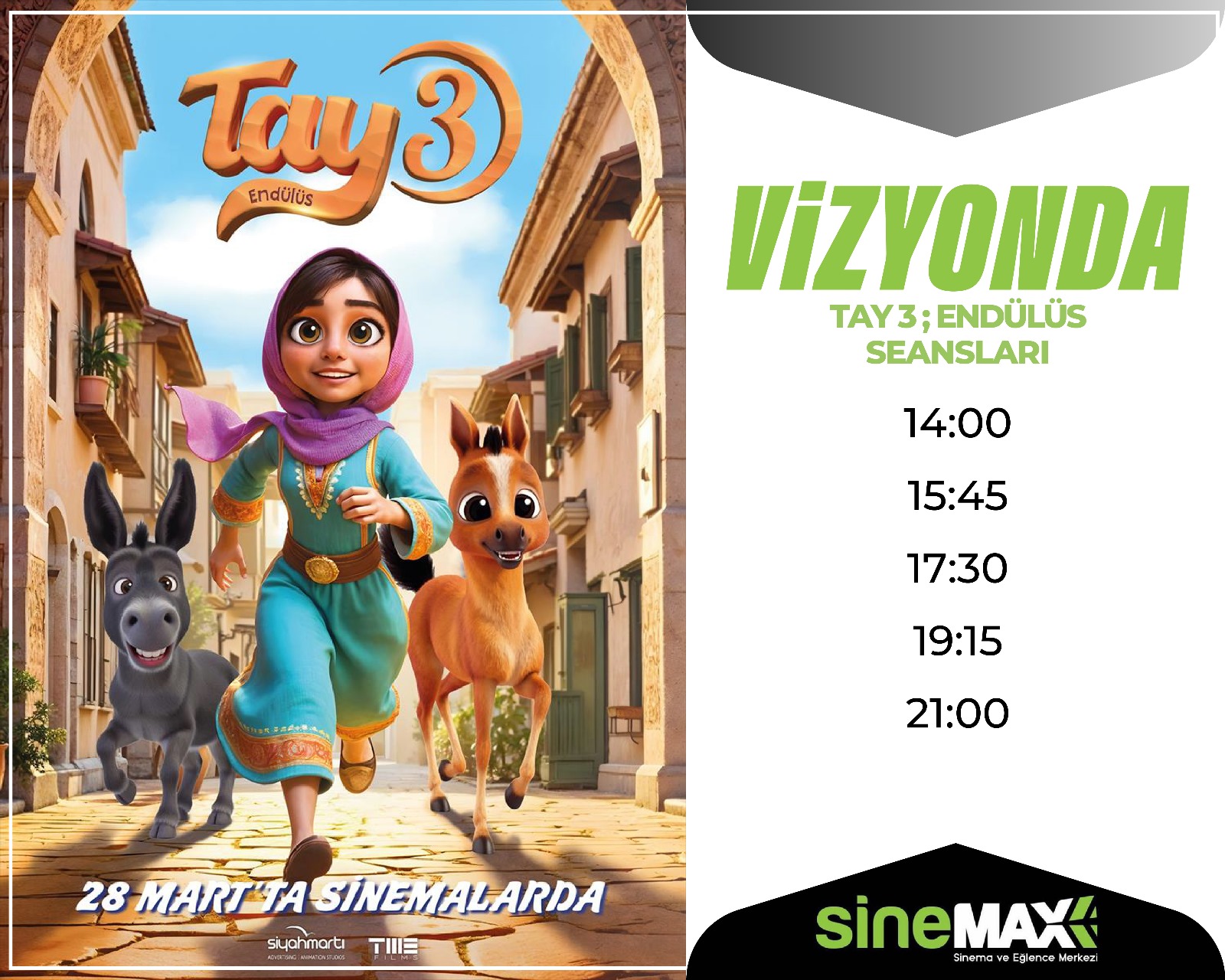 TAY 3; ENDÜSÜL